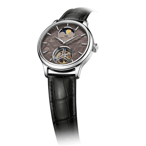 Artisan Heritage Series Meteorite Dial Moon Phase Coaxial Tourbillon Watch 42mm