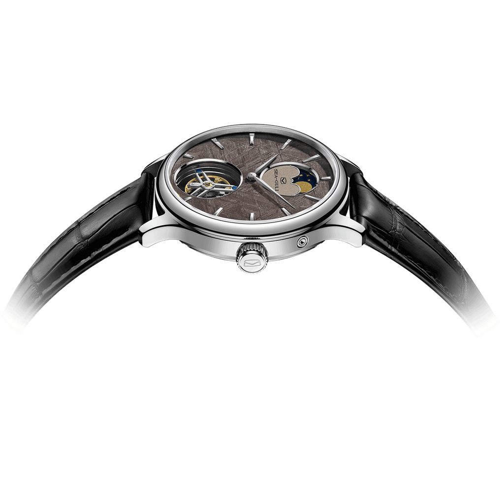 Artisan Heritage Series Meteorite Dial Moon Phase Coaxial Tourbillon Watch 42mm