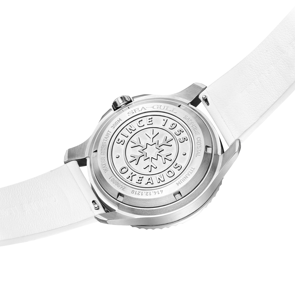 Ocean Series Pro Special Edition 300m Waterproof Titanium Alloy Case Ice-textured Dial Diving Watch 43mm