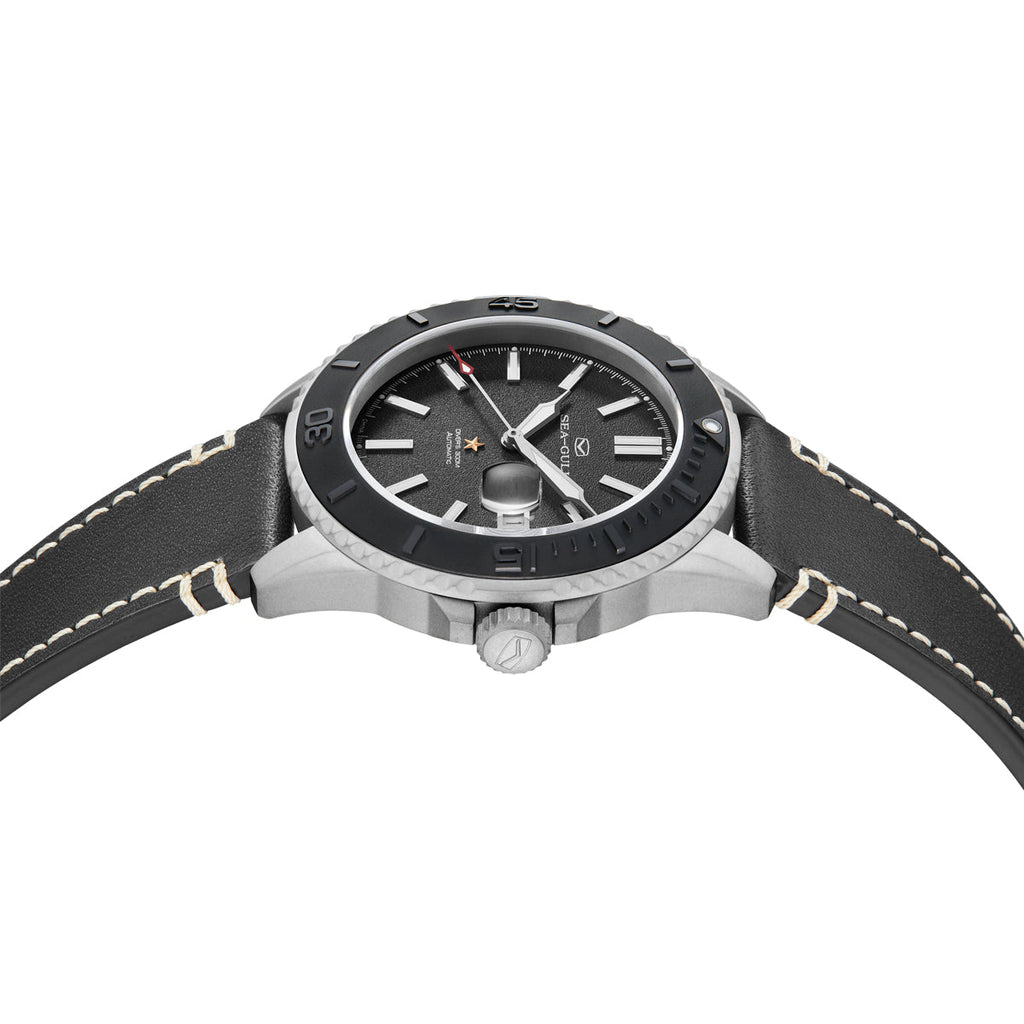 Ocean Series Pro 300m Waterproof Sandblasted Dial 3D Titanium Ceramic Bezel Diving Watch 43.5mm